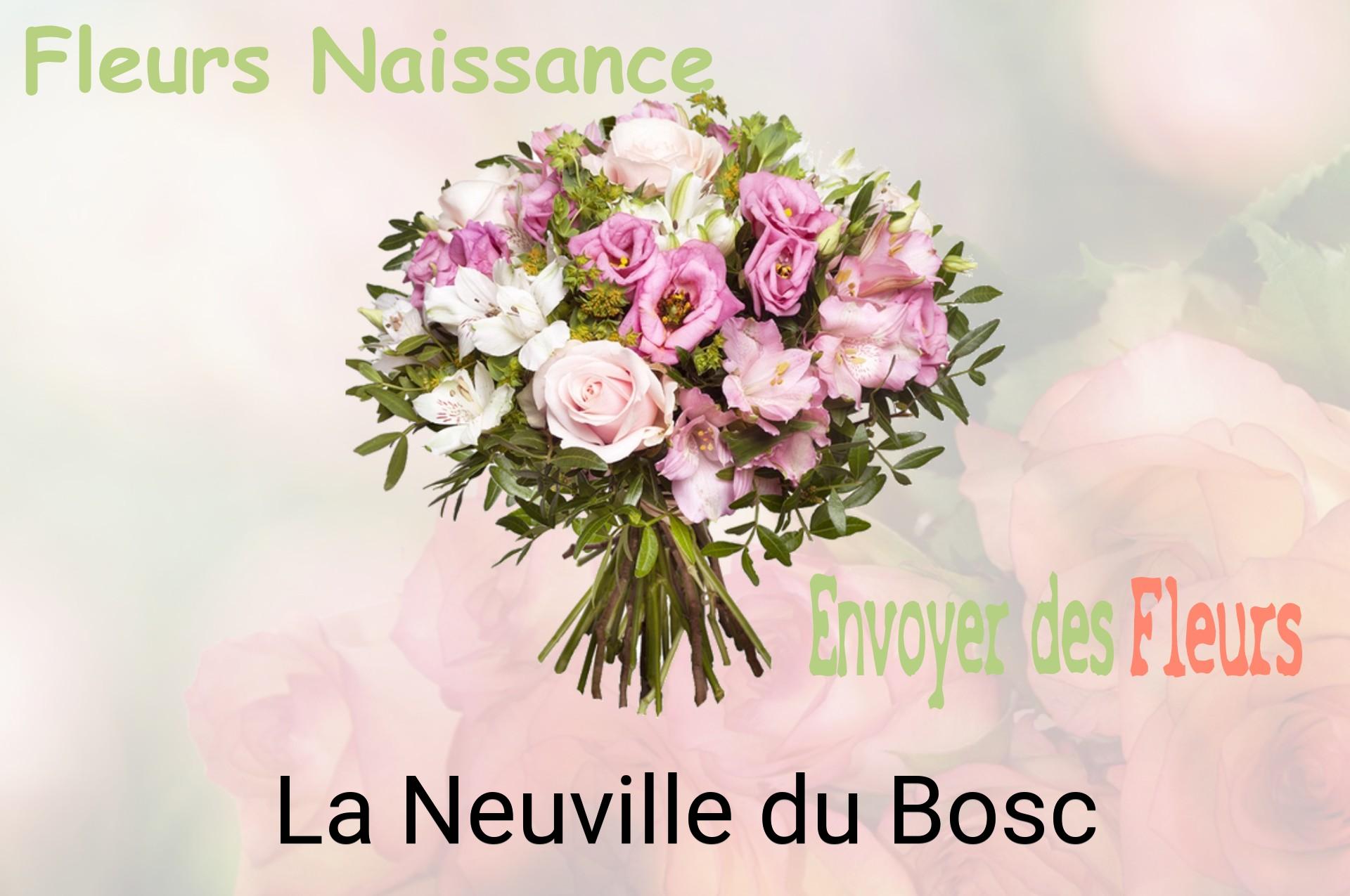 Bouquet de fleurs de naissance livré à La Neuville-du-Bosc